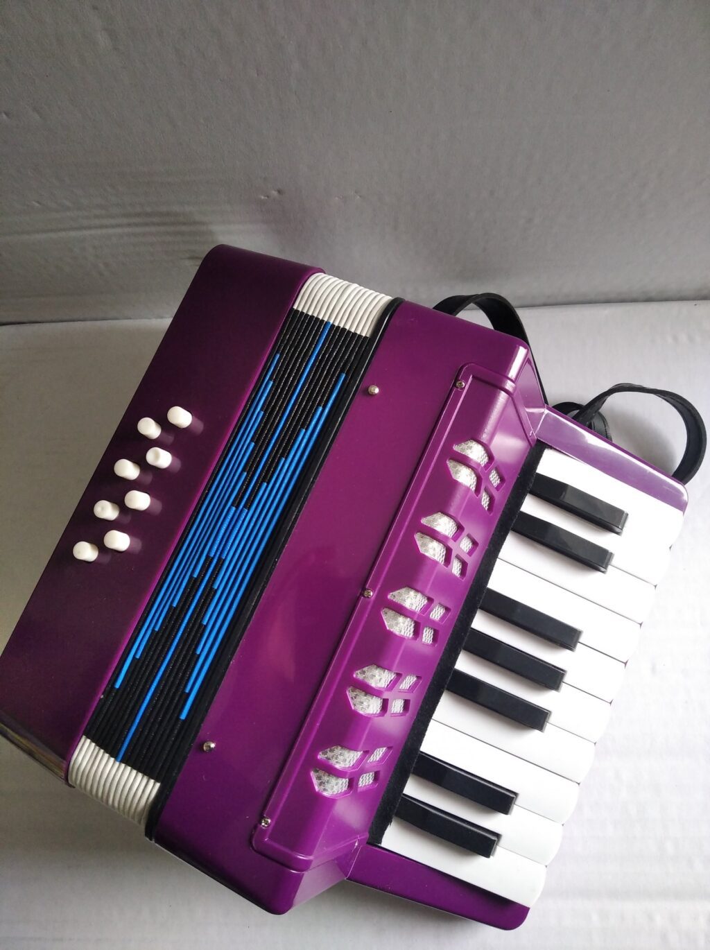 Harmonika decija-Decija harmonika - Image 2