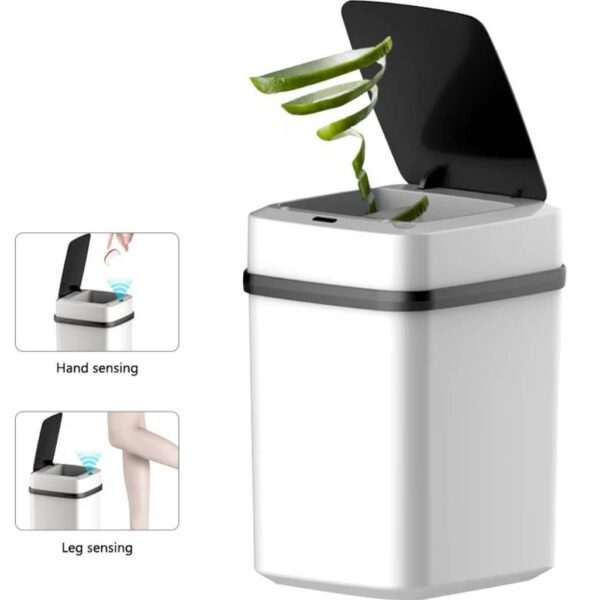 122571590 6134f5af7a6f10 036893881630860496808